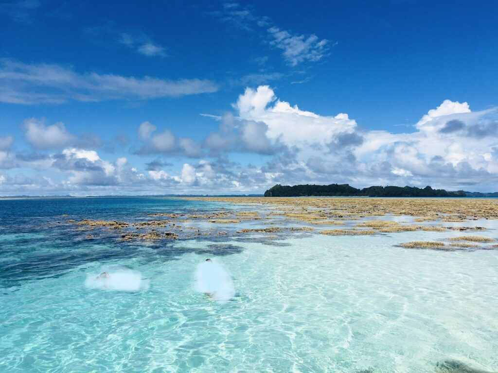 パラオの海・乾期のウーロンチャネル