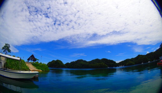 天気のいい朝。こんな日は潜りに行こう♪
