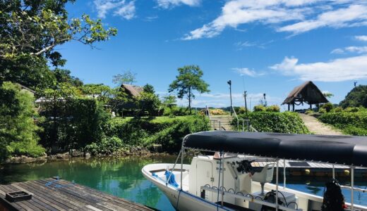 【パラオ】パソコンが湿気で壊れた…ダイビングオススメシーズンと現役ガイドの1年の過ごし方