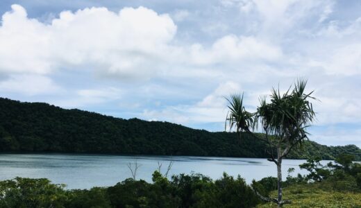 パラオのロックアイランドの中をお見せします！海だけじゃないパラオの魅力