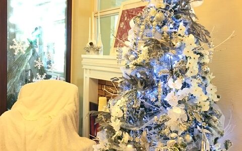 【パラオ】南国のクリスマスを紹介🎄不思議なイベントがあります！