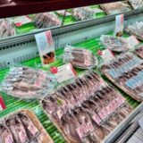 小田原観光！かまぼこのテーマパーク鈴廣かまぼこの里で食べ歩き体験