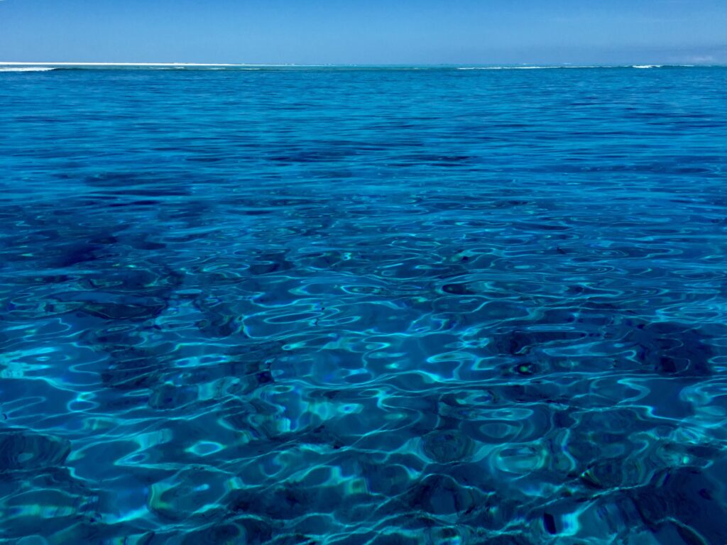 綺麗なパラオの海