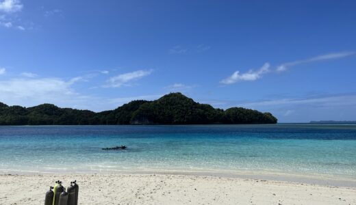 パラオで病気・ケガをしたら｜病院・薬・持っていくべき常備薬を元現地ガイドが解説