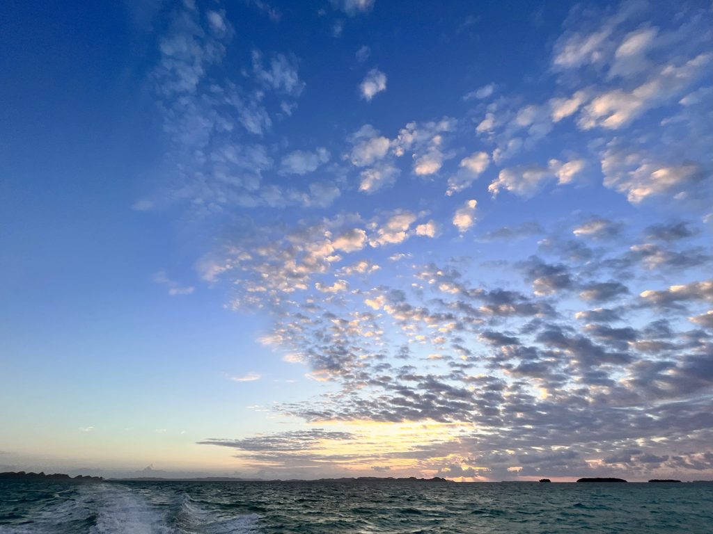 パラオの海